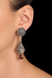 Silver Earrings image number 0