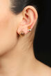 Golden Earrings image number 0