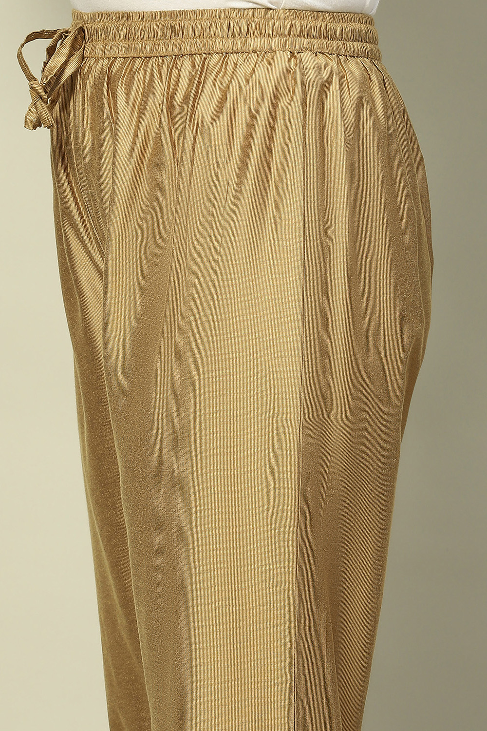 Gold-Toned Solid Regular Fit Pants image number 1